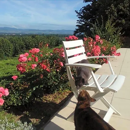 B&B Chez Frederique Et Norbert Mogneneins